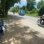 Bán lô đất thổ cư mặt tiền đường thanh niên, 10x50m