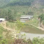 đất khu du lịch suối xanh quảng nam