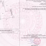 Rẻ nhất cẩm đường 2067m2 có 100m2 thổ cư 2 mặt tiền giá tổng 2,4 tỷ bán gấp