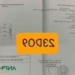 Cần bán duy nhất một lô góc khu d bắc sông cấm, phường dương quan, tp thủy nguyên