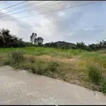 Cần đẩy nhanh lô đất, đường nguyễn đình chiểu, phường 1, thị xã kiến tường, tỉnh long an.shr