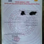 Chính chủ bán lô đất khu đấu giá hưng mỹ - hưng nguyên vị trí đẹp, giá tốt