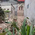 Bán lô đất đẹp 78,8 m² lưu úc kiến an