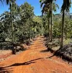 Cơ hội đầu tư,sổ đỏ riêng,giá trị tăng cao. ql 14 xã cư né, krong buk, đăk lăk