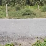 Chính chủ bán 439m2 đất mặt tiền nhựa 4m tại xã hoà định, huyện chợ gạo, tỉnh tiền giang