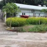 Cho thuê gấp nhà 1 trệt 1 lửng sân xe hơi, gần kdc lavender city