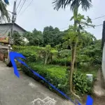 đại áng - thanh trì - ô tô tránh vào đất 130 triệu/mét vuông full thổ cư, giá đầu tư, có thể chia