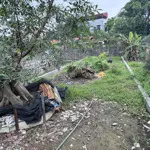 đất sở đông, gần ngay chợ, sát vin 2 ngõ ô tô 7 chỗ, gần đại học bách khoa cơ sở 2, đường đông tây!