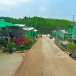 Cho thuê trang trại 7000m² tại lộc ninh cơ hội khởi nghiệp chăn nuôi thu nhập cao