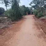 Cơ hội đầu tư vàng giá siêu ngộp. ql 29 xã ea drong, tx buôn hồ, đăk lăk
