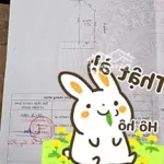 Chính chủ bán lô góc khu đấu giá cự khối 3 mặt đường giá đầu tư