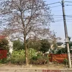 đẹp từ vị trí đến tiện ích, bán lô đất đẹp đường nguyễn hữu an