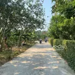đất 2mt ô tô ra ubnd hương hồ tầm 2 phút chỉ 900tr