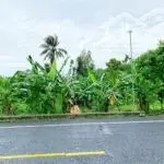 Lô đất tiềm năng mặt tiền ql61c gần gần ngã ba nhơn nghĩa, xã nhơn nghĩa, phong điền, cần thơ