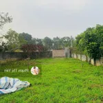 Cần bán nhanh 400m/200m ont tại đồng chanh - nhuận trạch. giá công khai 10, 5 triệu/m. cam kết đất đẹp