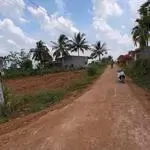 Sổ đỏ chính chủ,chưa qua đầu tư nguồn ngộp. ql 29 xã ea drông tx buôn hồ, đăk lăk