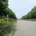 Bán đất xây dựng xưởng 2ha kcn quốc tế protrade, an tây, bến cát, bình dương