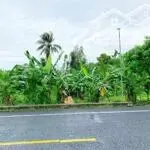 Bán đất nguyễn văn cừ – đoạn đẹp gần khu dân cư mỹ khánh