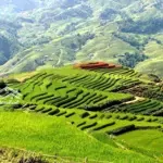 Cơ hội đầu tư có một không hai tại tả phìn, sa pa! 1200m2 thổ cư hàng hiếm tại view đỉnh