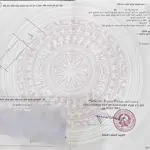 Hàng siêu hiếm! rẻ nhất đấu giá dạ trạch - khoái châu