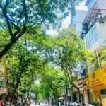 Mảnh đất vàng đội cấn tt ba đình sót lại 75m , mt 5m 15,75tỷ