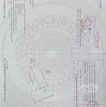Cho thuê nhà 3 tầng khu tdc xi măng ( tdc vinhomes) - sở dầu - hồng bàng - hải phòng