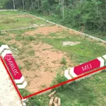 Bán đất thôn bạch thạch, quốc oai - diện tích 250m2 mặt tiền cực rộng 20m giá rẻ nhất khu vực