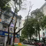 Mảnh đất vip còn sót lại khu đô thị tây nam linh đàm, hoàng liệt 92m2 x mt 5m, lô góc, ở sướng