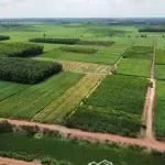 Bán đất 125m2 tại xã cầu khởi, dương minh châu, tây ninh, 290 triệu