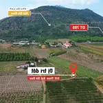 đất view núi bà, sáp nhập lên phường bình minh giá chỉ 3xx gần sát trục dt785 hướng về tp tây ninh.