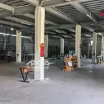 Bán xưởng góc 2 mt nhị bình, hóc môn; dt 1000m2 (tc 700m2); đang khai thác 40tr/th; giảm còn 10 tỷ