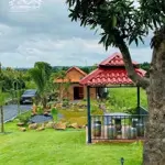 Sở hữu đất vườn trái cây có suối nhỏ gần tp. hcm chỉ 860 triệu/1044m2 gần sân bay long thành