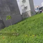 Cần bán đấtmặt tiềntrương văn diễn, phước thới, ô môn, cần thơ. giá bán 500 triệu/120m2,shr