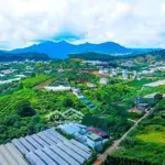 Cơ hội sở hữu đất lớn, 17000m2mặt tiềnmăng lin, đà lạt 450m mặt tiền đường qh 65% đất odt, 10 triệu/m2