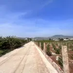Bán đất trung tâm xã liên hiệp,diện tích5x34, cn 170m2 thổ cư, đường 5m giá bán 990 triệu