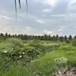 Bán đất chính chủ hẻm vào 100m trên đường võ văn phẩm, xã bình phú, tp. bến tre