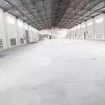 Bán Nhà Xưởng Đường Luỹ Bán Bích (Dt 16X60M) Tổng 897M2 Giá Bán 50 Tỷ Tl