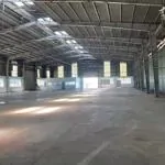 Cho thuê nhà xưởng 5000m2 trong cụm công nghiệp thuận an ( doanh nghiệp nước ngoài đứng tên ok )