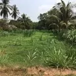 đất mỏ công tân phong tân biên ql22b đi vào hướng tháp chót mạc 200m quẹo phải là tới đất 10x90m thổ cư 50m gần chợ , trường học, khu dân cư đông đúc đường đất đỏ rộng 10m