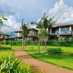 Công Bố Giỏ Hàng 5/2025 Kđt Waterpoint (Chỉ Từ 6Tỷ/Căn - Nhận Nhà Ngay) Tt 30 Tháng 0% Lãi Suất