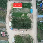 Lô Góc Tuyệt Đẹp Giá Chỉ Nhỉnh 40 Triệu
Đấu Giá Hoàng Trạch, Mễ Sở, Văn Giang, Hưng Yên Gần Vành Đai 4