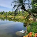 Bán lô áp góc đối diện sân bóng nam hồng từ sơn, view mát mẻ gần tttm, sổ cầm tay, liên hệ: 0326569236
