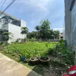 1,3 Tỷ Diên Thạnh - Diên Khánh Diện Tích: 118M² - Ngang 11M Mặt Tiền Đẹp