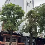 Bán Toà Căn Hộ Dòng Tiền Thu Nhập Tốt Khu Vực Bến Xe Trung Tâm Đà Nẵng