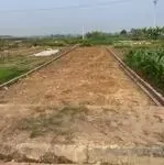 Cần bán lô đất đấu giá full thổ cư 125m2 tại thanh thủy - phú thọ