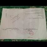 Chính chủ cần bán gấp lô đất ngay xã thạnh lợi, bến lức, long an