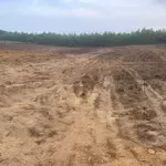 20000M2 Đất Trồng Cây Lâu Năm Vuông Vắn Bằng Phẳng Rất Đẹp Hòa Phú.