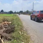 Bán 287M2 Thổ (12X26M) Mặt Tiền Tân Hội, Ngay Vinhomes 197Ha Khu Đô Thị Hậu Nghĩa, Tân Mỹ, Đức Hòa