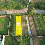 Bán đất chính chủ tái định cư vai réo