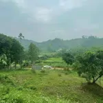 Chính chủ bán 1200m2 tại tân vinh, lương sơn có view đẹp giá lại rẻ 2,6tỷ